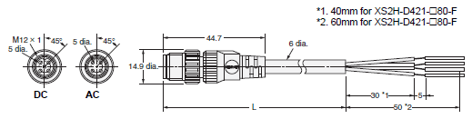 XS2 크기 13 