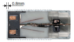 E2FM_Feature1