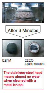 E2FM_Feature2