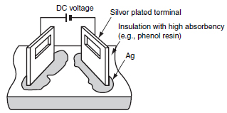 Silver_Migration_diagram