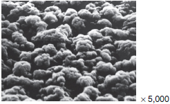 Chemical_plant_photo