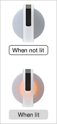 White(TW/Opaque white)